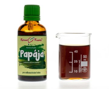 Papája (papaya) - bylinné kvapky (tinktúra) 50 ml