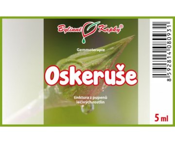 Oskeruše - tinktúra z púčikov 5 ml - gemmoterapia