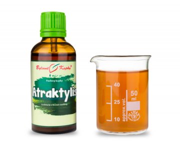 Atraktylis (TCM) - bylinné kvapky (tinktúra) 50 ml