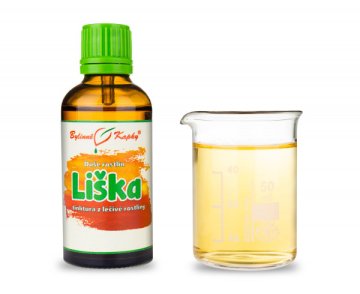 Líška obyčajná - kvapky Duša rastlín (tinktúra) 50 ml