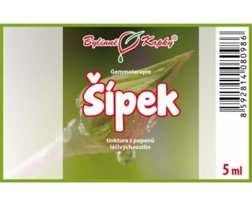 Šípok - tinktúra z púčikov 5 ml - gemmoterapia