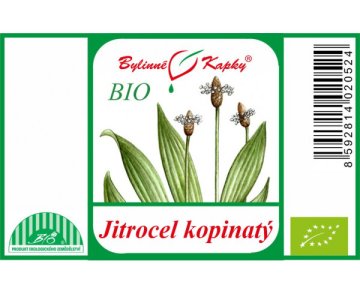 Skorocel BIO - bylinné kvapky (tinktúra) 50 ml