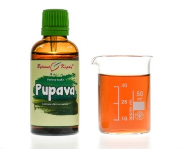 Krasovlas bezbyľový  - bylinné kvapky (tinktúra) 50 ml