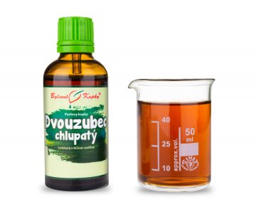 Dvojzubec chlpatý (pílový) - bylinné kvapky (tinktúra) 50 ml