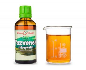 Pazvonček (Dang Shen) (TCM) - bylinné kvapky (tinktúra) 50 ml