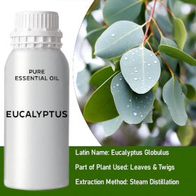 Eukalyptus prírodná silica, esenciálny (éterický) olej 500 g