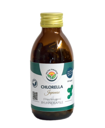 Chlorella - Japanese kapsle 120 ks od Salvia Paradise