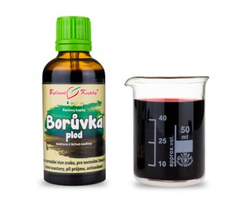 Čučoriedka plod - bylinné kvapky (tinktúra) 50 ml