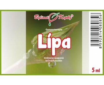 Lipa - tinktúra z púčikov 5 ml - gemmoterapia